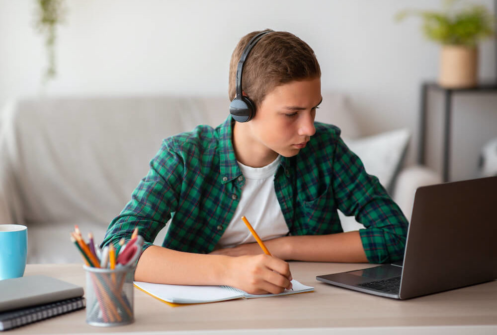 Merit Based Summer Opportunities