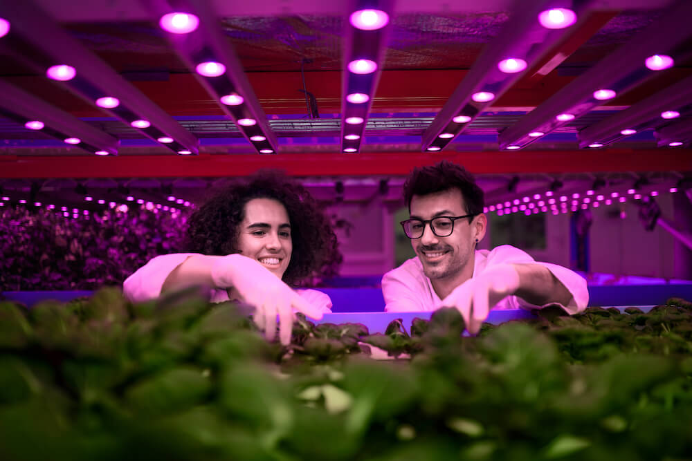 Stanford Receives $1.1 Billion Gift, Creates Stanford Doerr School of Sustainability