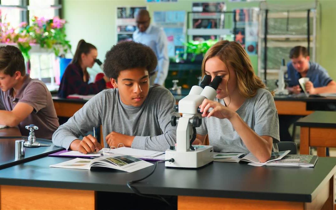 Q&A with Ellen: How to Stand Out as a PreMed Applicant