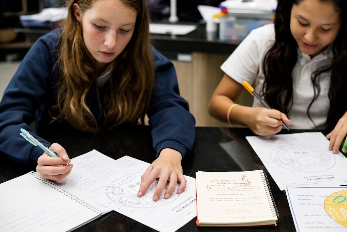 Q&A with Vincent: How Our Senior Mentors Help Students Develop Executive Functioning Skills